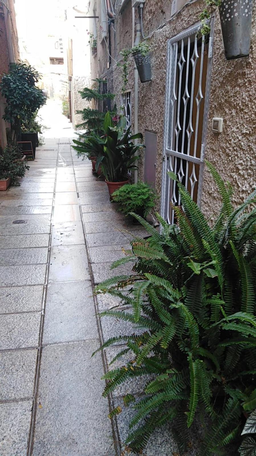 Casa Vacanza Castello 卡利亚里 外观 照片